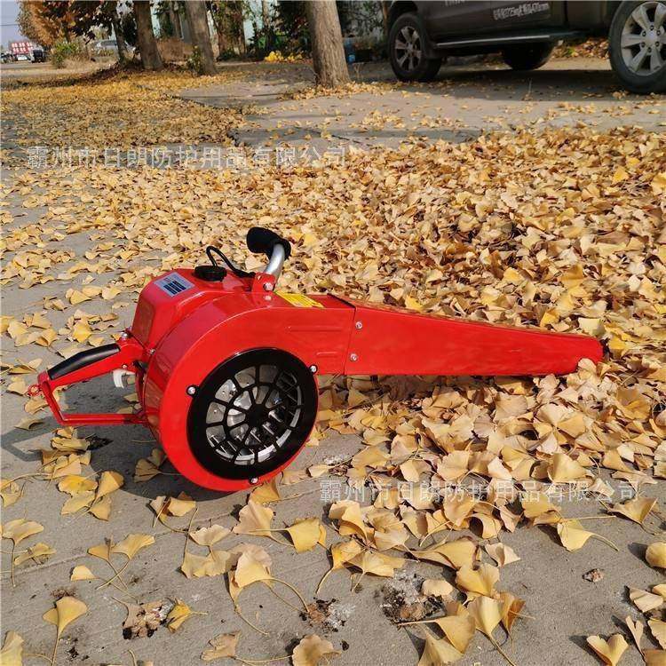 便携式汽油吹风机吹枣机手提式风力灭火机6MF-0山林抢险扑火器,淘宝优惠券,粉丝福利购,淘宝优惠卷