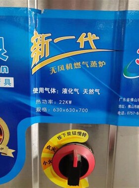 蓝泉蒸包炉商用电热蒸馒r头燃气带风机肠粉炉木桶饭蒸笼蒸菜蒸汽