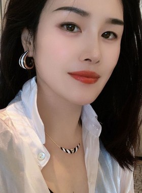 网红款耳饰套件组合黑白条纹项链高级感复古时尚百搭锁骨链