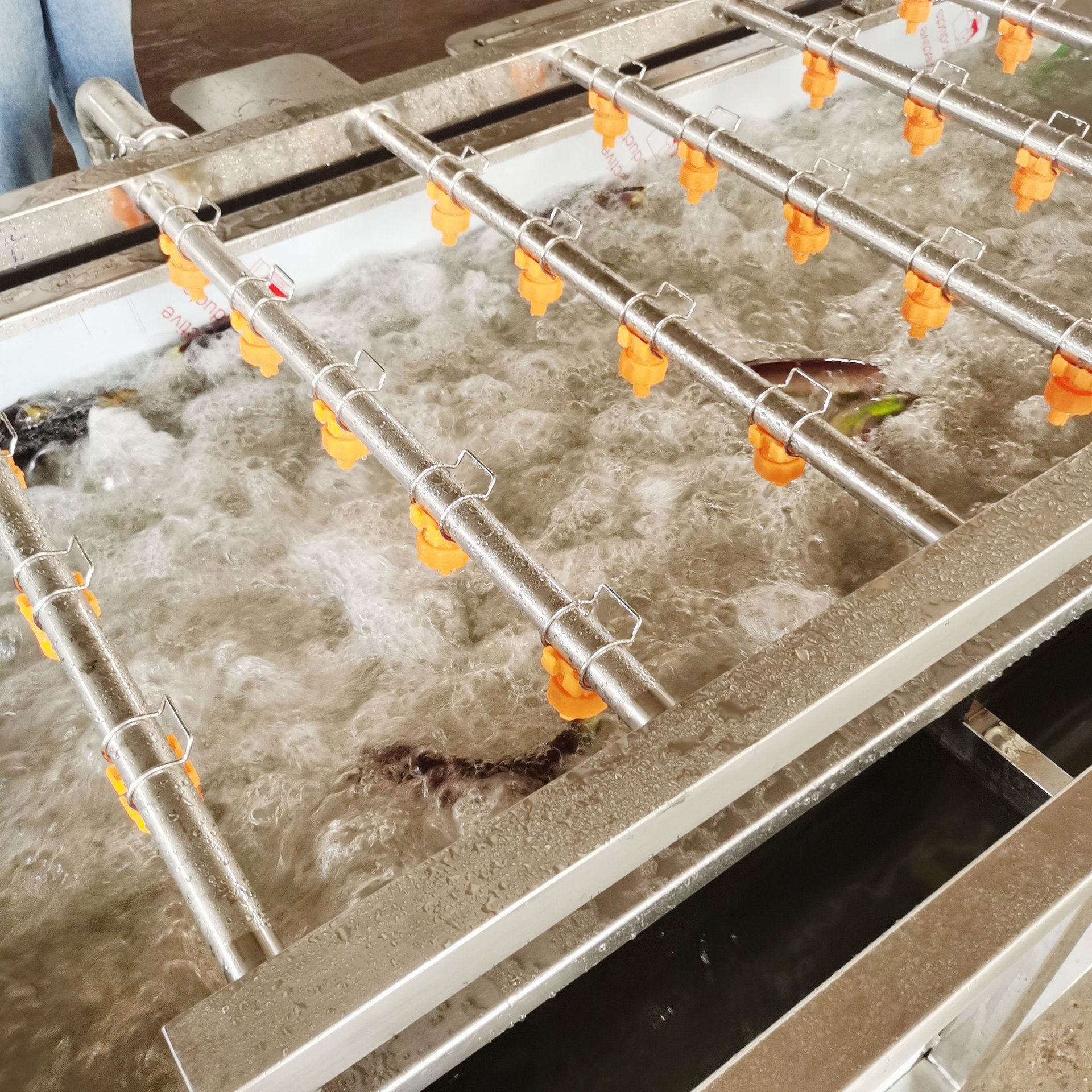 海鲜气泡清洗机 不锈钢全自动水果蔬菜清洗机 海带鱼虾类清洗设备,淘宝优惠券,粉丝福利购,淘宝优惠卷