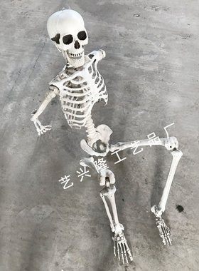 165cm逼真塑料骷髅骨架鬼屋装饰密室KTV用品仿真人万圣节道具
