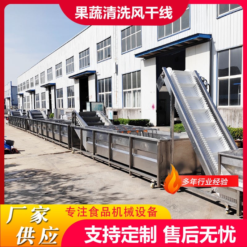 定制蓝莓气泡清洗机气泡喷淋式杨桃清洗设备果蔬加工清洗流水线 - 图2