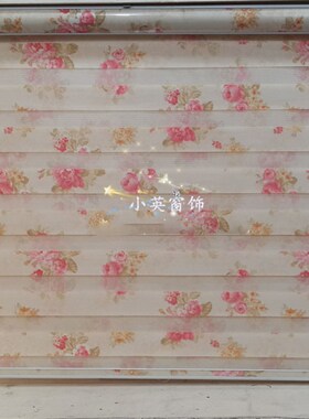 新款田园印花柔纱帘门帘客厅卧室双层卷帘遮阳成品窗帘