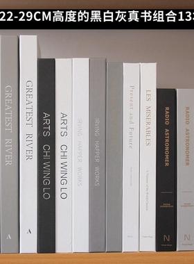 黑白灰色系简约装饰道具书 样板房摆场现代真书售楼处陈列饰品