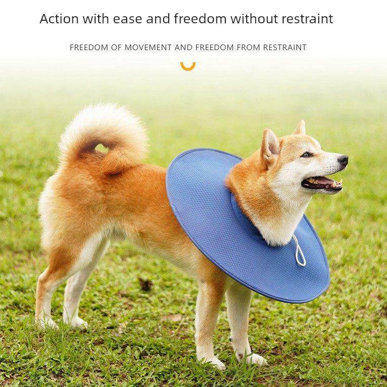 小狗伊丽莎白圈透气夏季宠物防舔脖圈轻软柯基法斗防咬头套可吃饭,淘宝优惠券,粉丝福利购,淘宝优惠卷