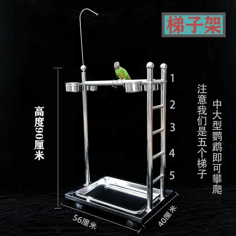 鹦鹉鸟类宠物鸟站架不锈钢折衷观赏架梯子架栖息架中大型饲养架子,淘宝优惠券,粉丝福利购,淘宝优惠卷
