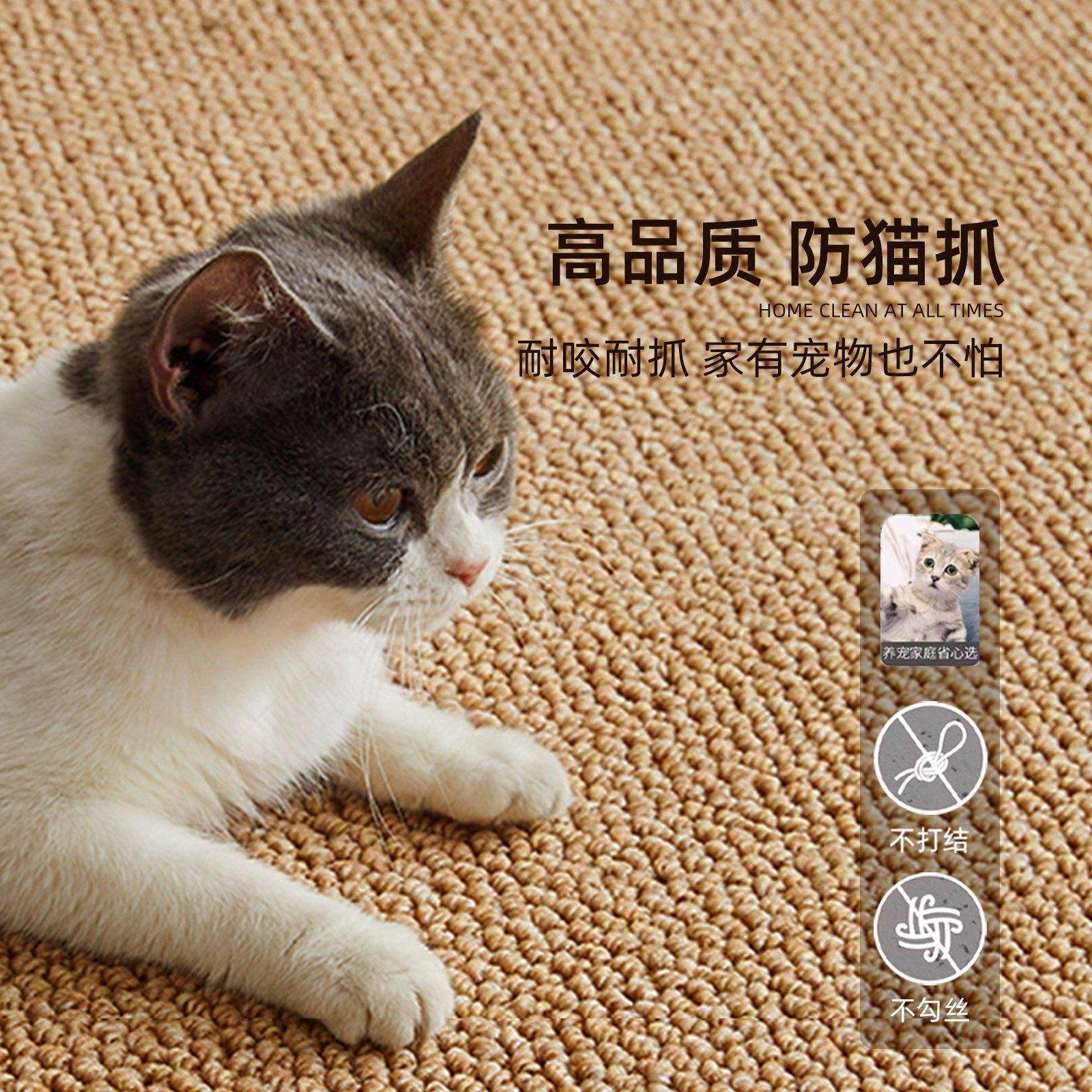 地垫入户门垫玄关高级感仿剑麻进门耐脏防滑脚踏垫家用门口免洗垫,淘宝优惠券,粉丝福利购,淘宝优惠卷