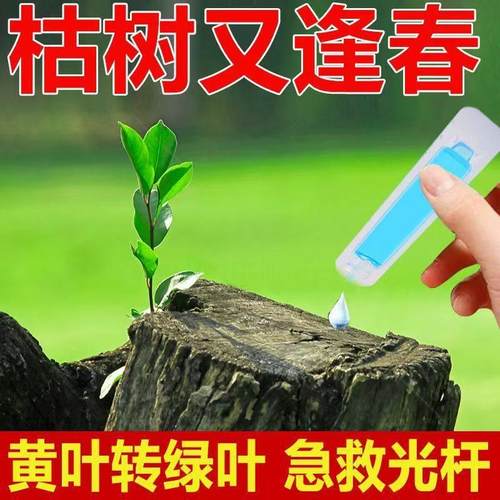 【领券立减50】新升级植物通用再生剂浓缩营养液绿植花卉盆栽园艺 - 图1