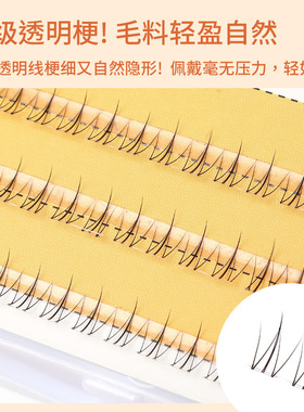 透明梗懒人单簇分段式小火苗太阳花自然轻盈下睫毛仿真嫁接假睫毛