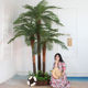 Large shopping mall tropical plant simulation coconut tree landscaping