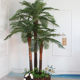 Large shopping mall tropical plant simulation coconut tree landscaping