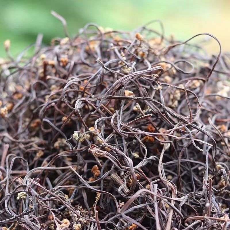 干蕨菜干货500g云南野生蕨菜山茅野菜农家自晒土特产干货龙爪菜 - 图0