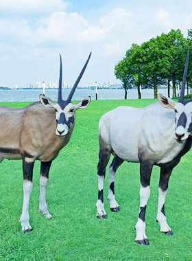 大型藏羚羊动物园艺术风美陈摆件