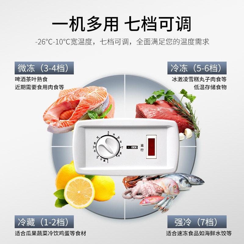 aucma /澳柯玛bc / bd-100h冰柜 向达电器冷柜