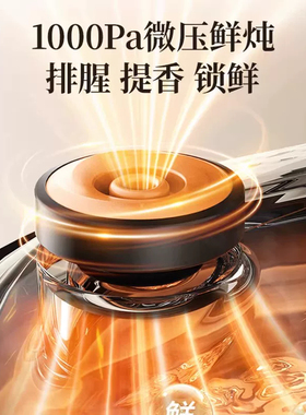 苏泊尔电炖锅家用紫砂锅煲汤
