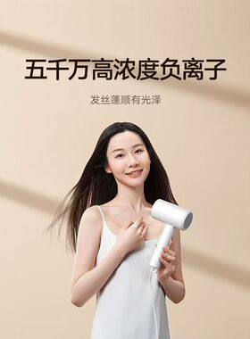 小米米家负离子吹风机H101