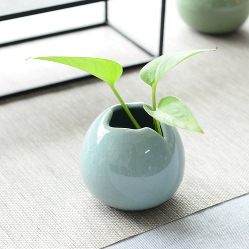 Современная креативная маленькая свежая бутылка для цветов Celadon Home Living Room