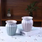 Сочные керамические цветочные горшки с большим калибром.