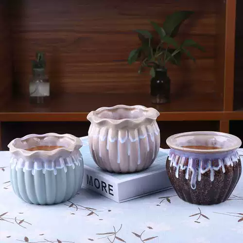 Сочные керамические цветочные горшки с большим калибром.