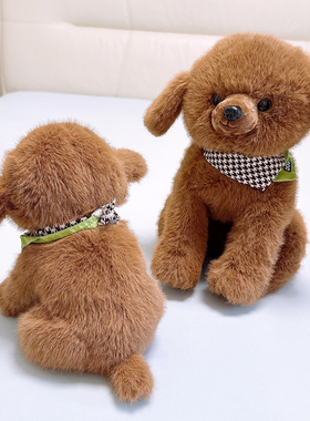 贝洋洋围巾贵宾犬玩偶蹲姿泰迪狗狗公仔儿童生日礼物兑换娃娃