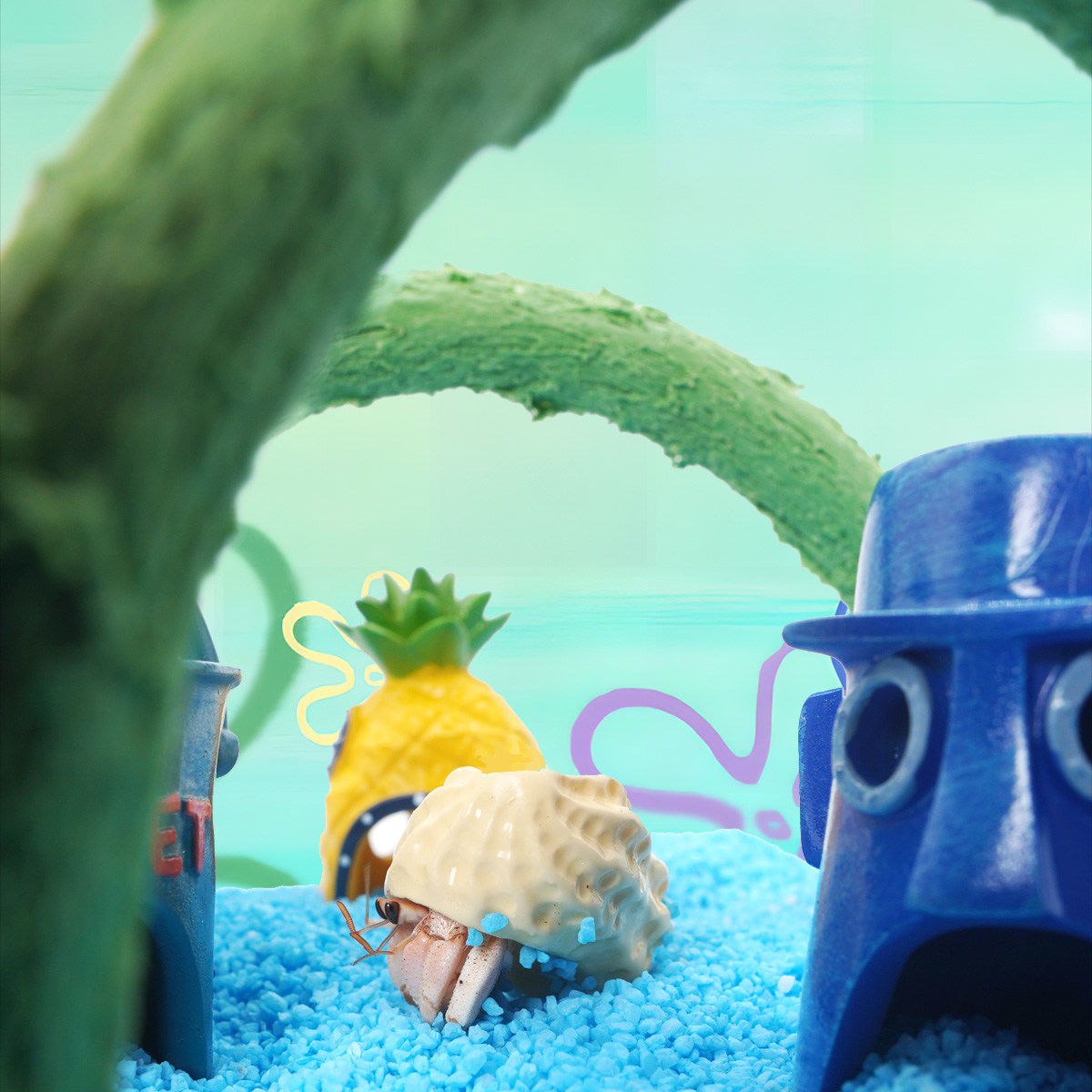 寄居蟹新手桌面饲养缸～防摔高透饲养箱比奇堡风格饲养套餐礼物,淘宝优惠券,粉丝福利购,淘宝优惠卷