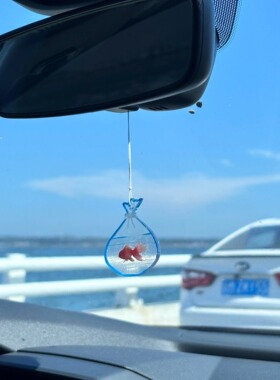 小红书同款透光小金鱼车