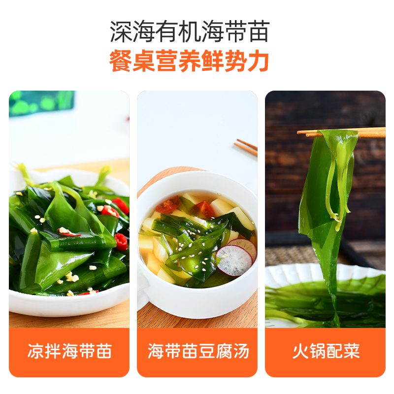 有机海带苗嫩芽海带丝鲜嫩无沙压缩结干货非盐渍霞浦特产火锅凉拌 - 图3