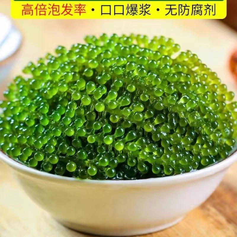 海葡萄新鲜即食盐渍海带新鲜海洋蔬菜绿色鱼子酱海藻菜送芥末100g-图1