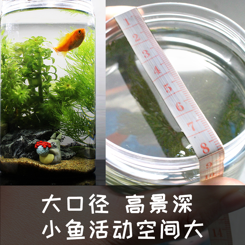 雨林缸生态瓶微景观森林瓶迷你鱼缸水草造景diy科学生物课自循环 - 图3