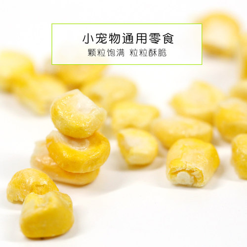 松鼠飞鼠龙猫仓鼠蜜袋鼯用品吃的粮食饲料食物零食冻干玉米粒50克 - 图2