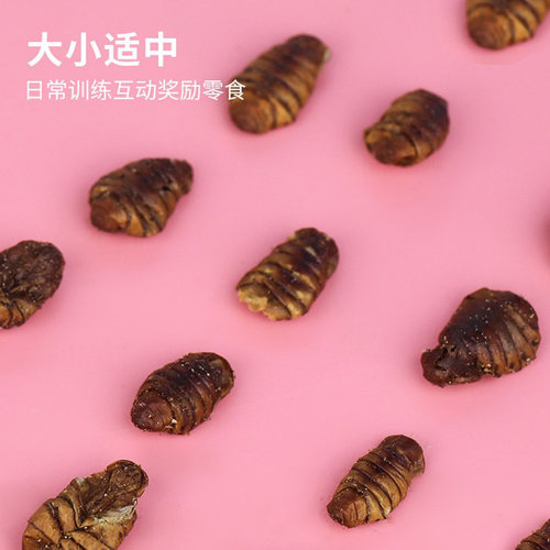 乌龟仓鼠松鼠大眼飞鼠蜜袋鼯吃的食物零食花枝鼠龙猫钙粮食蚕蛹干 - 图0