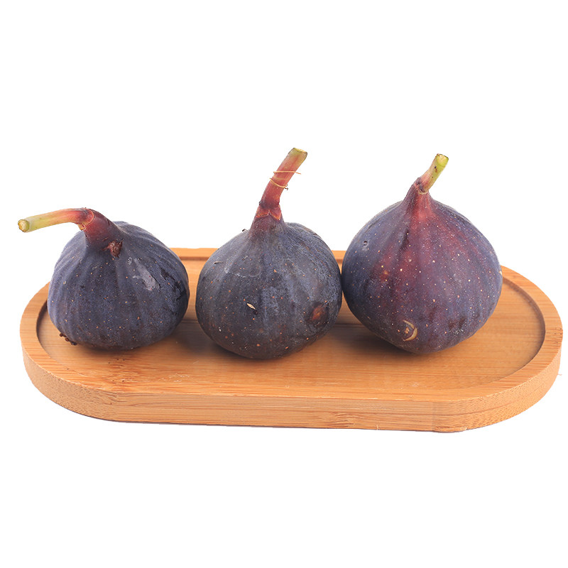 无花果果树苗盆栽南北方果法紫原土发货【日本紫果】_虎窝淘