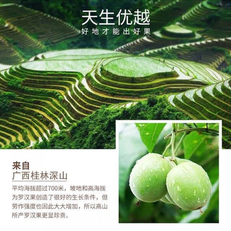  良山谷珍罗汉果