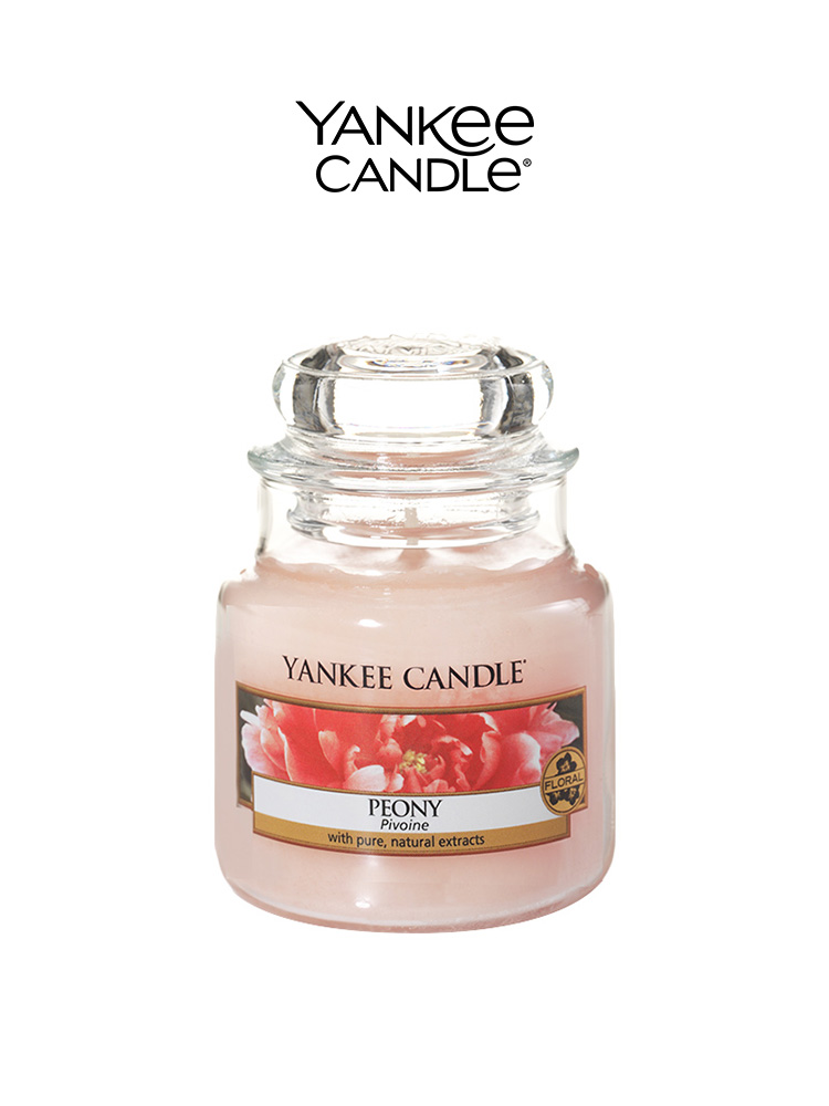 【双11】yankeecandle扬基美国蜡烛 yankeecandle扬基香熏蜡烛