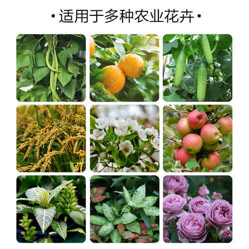 阿维菌素1.8% 红蜘蛛专杀小菜蛾青虫根结线虫 蔬菜月季花卉杀虫剂 - 图3