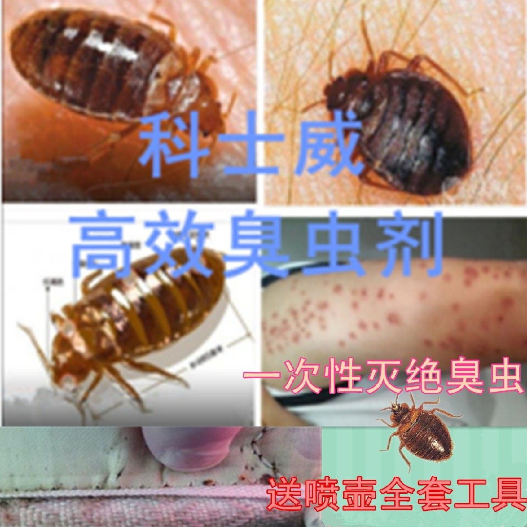 臭虫药床上吸血虫克星杀灭床虱专用药科士威臭虫净杀虫药剂诱捕器 - 小编推荐 - WePost 全民代运 - 马来西亚中国淘宝代运与集运专家