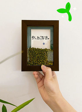 创意绿豆相框摆件挂画diy画框