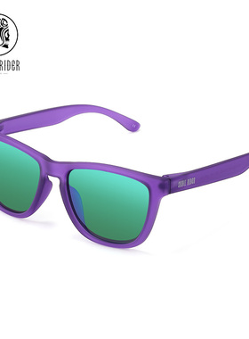 skullrider偏光太阳眼镜