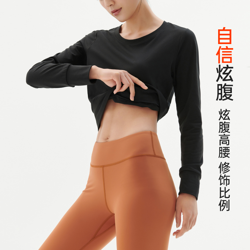 SKYHAND 瑜伽服女春秋运动上衣健身服高级感短款打底长袖速干罩衫