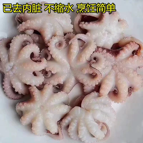 Замороженный свежий мини-осьминог, свежие морепродукты, водные продукты, глубоководные 2 фунта, бесплатная доставка, ингредиенты для горячего горшка из маленького осьминога, пойманного в море