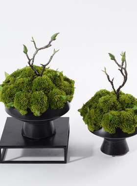 新中式风盆景绿植客厅茶几摆件