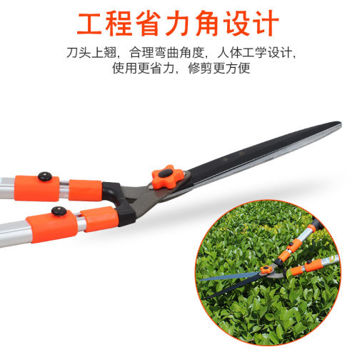 园艺剪刀绿篱剪伸缩修枝园林绿化工具草坪剪花草家用大剪刀粗枝剪 - 图2