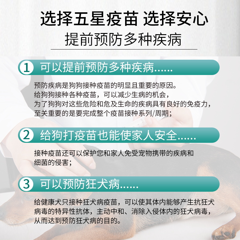 中牧狗狗疫苗加强型幼犬套餐狂犬四联疫苗宠物预防细小犬瘟预防针-图2