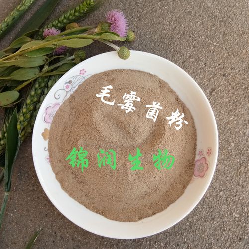 毛霉菌种，毛豆腐臭豆腐豆腐乳霉豆渣霉千张发酵用毛霉曲粉-图3