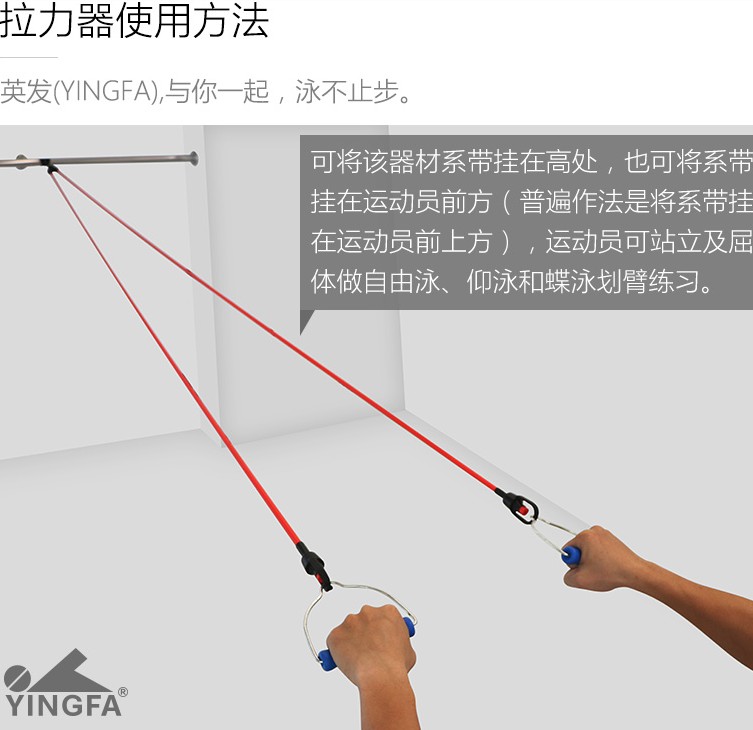 英发儿童游泳拉力绳  悬挂拉力器 成人自由泳拉力带 家用游泳健身