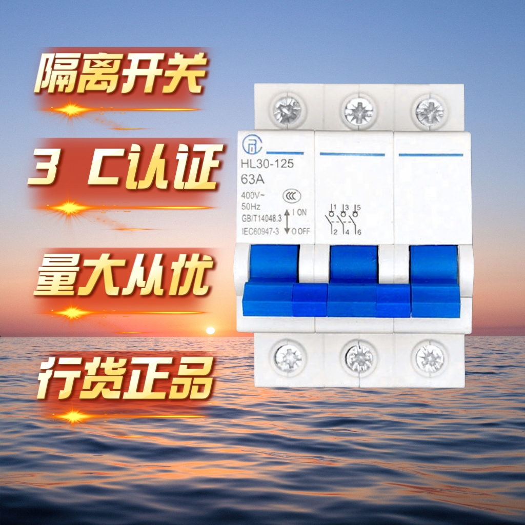 （店铺推荐）电气有限公司隔离闸刀开关HL30-125小型隔离开关正品 - 图2