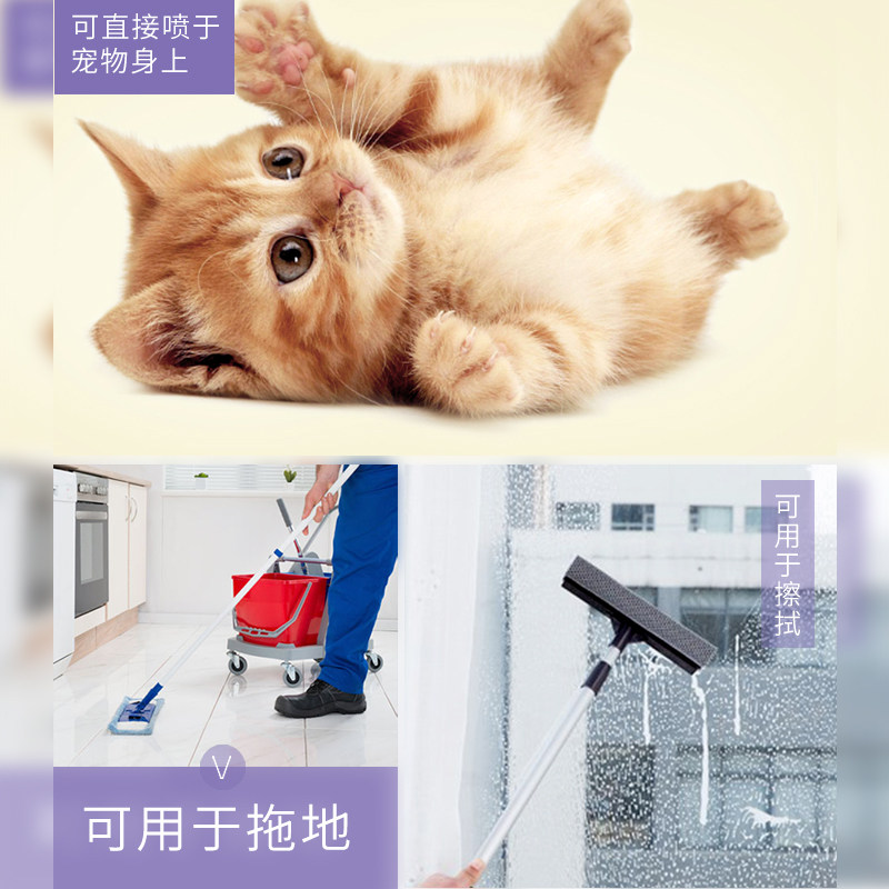 宠物除臭剂消杀菌猫咪除味去狗狗尿骚毒便臭室内环境去味液水,淘宝优惠券,粉丝福利购,淘宝优惠卷