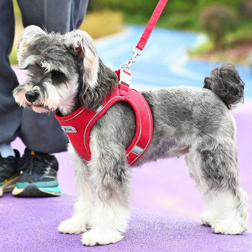 宠物狗狗牵引绳背心式胸背防挣脱中小型犬雪纳瑞比熊万相扣遛狗绳 - 图0