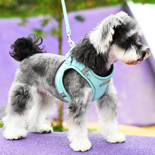 宠物狗狗牵引绳背心式胸背防挣脱中小型犬雪纳瑞比熊万相扣遛狗绳 - 图3