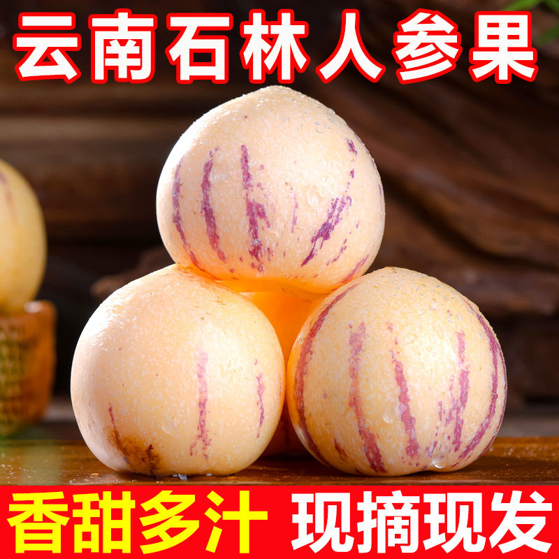 云南石林人参果新鲜水果树上熟5斤大果黄肉果10斤当季整箱包邮